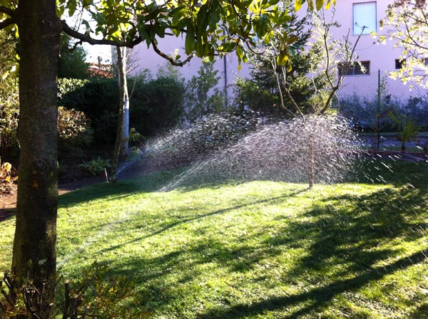 giardino irrigato